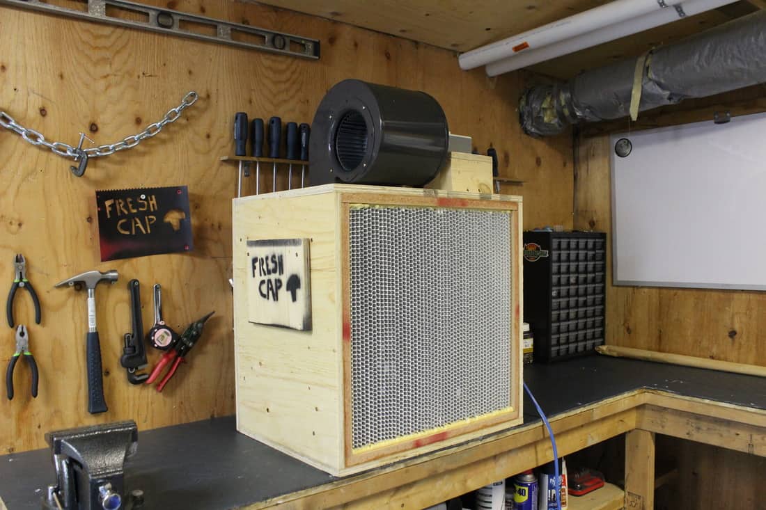 laminar flow hood for mycology