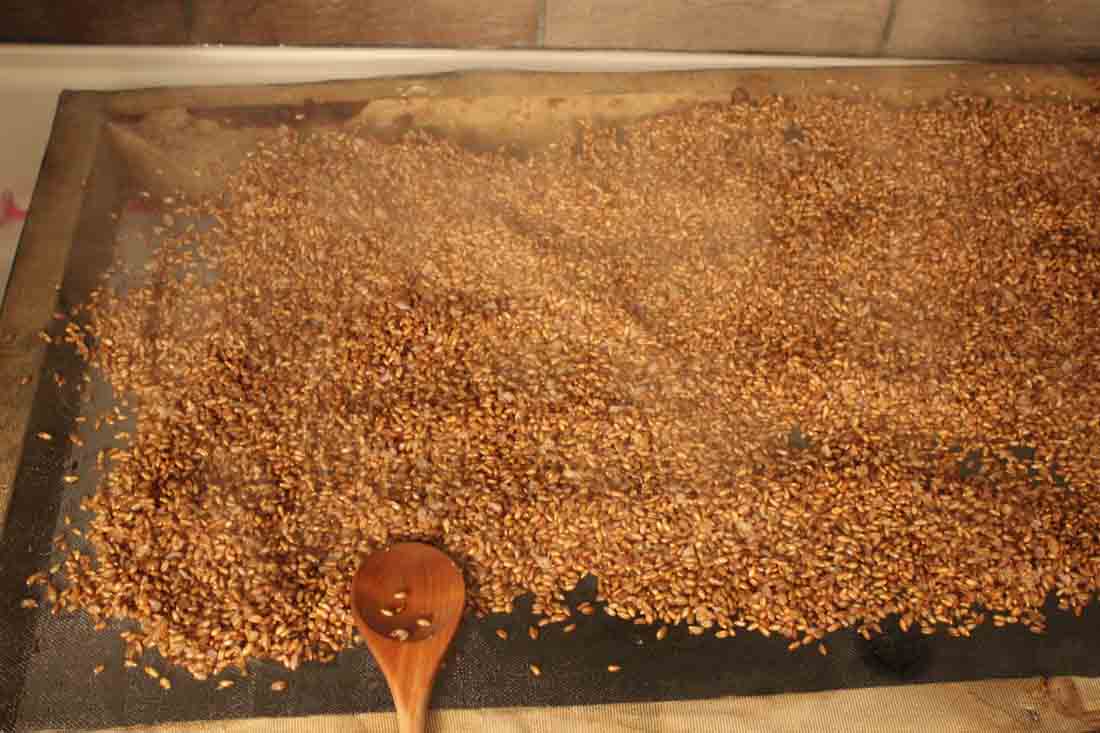 Drying rye grain steaming off mushroom spawn.