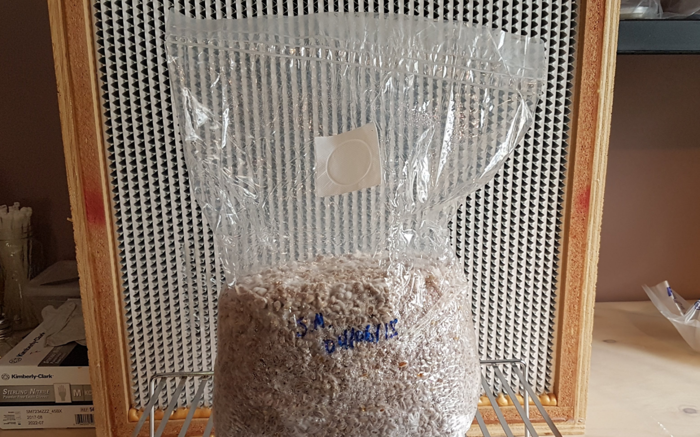 Myco Bags Mushroom Cultivation Grow kit bag 25 QTY Small Size 4 x 3 x 18 Spawn