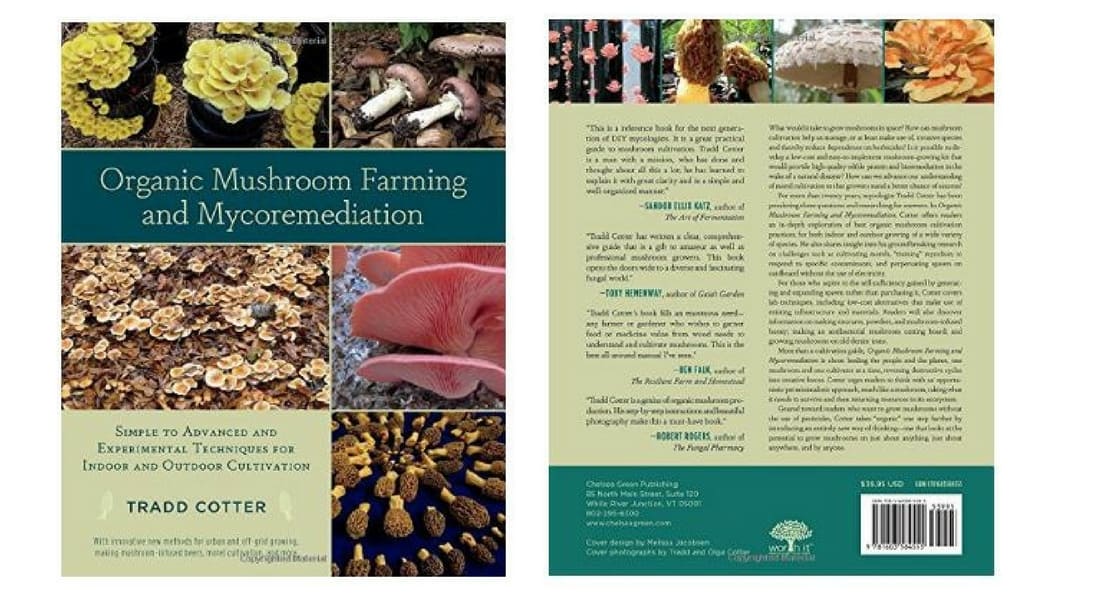organic-mushroom-farming-and-mycoremediation-tradd-cotter