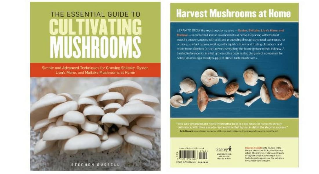 the-essential-guide-to-cultivating-mushrooms