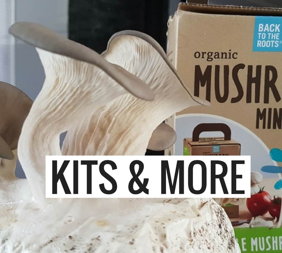 mushroom-grow-kits