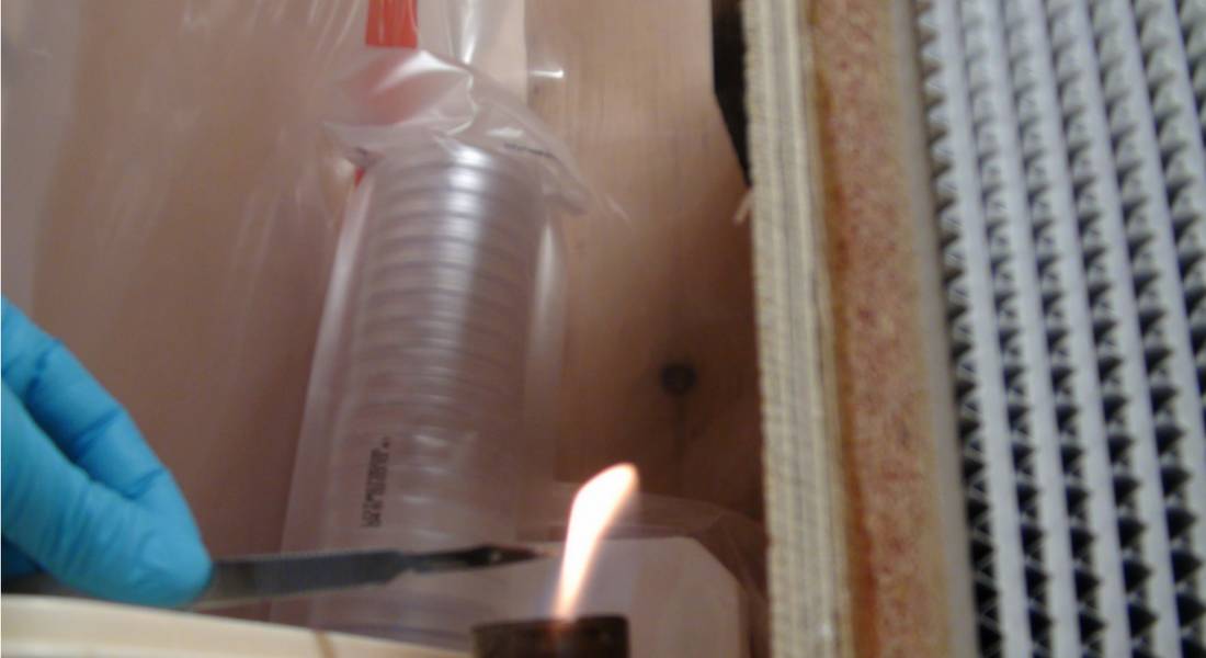 flame-sterilize-scalpel-for-agar-work