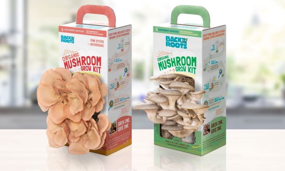 back-to-roots-mushroom-kits-gift