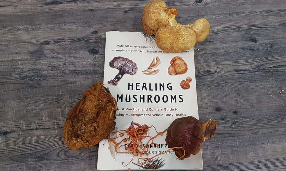 healing-mushrooms-book