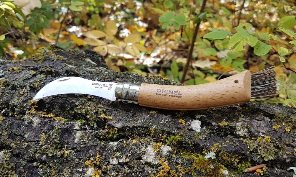 foraging-knife