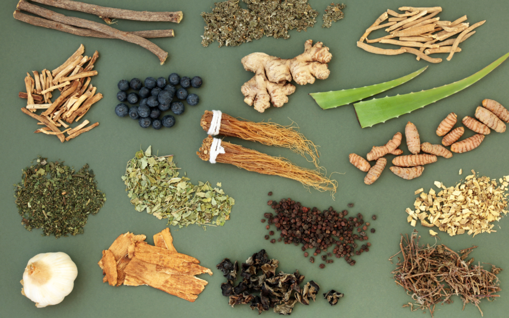 12 Best Adaptogen Supplements You Probably Never Heard Of - FreshCap ...