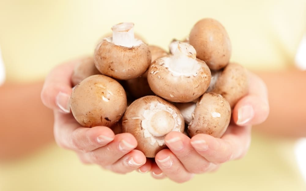 The Top 13 Healthiest Mushrooms for Weight Loss and Your Immune System