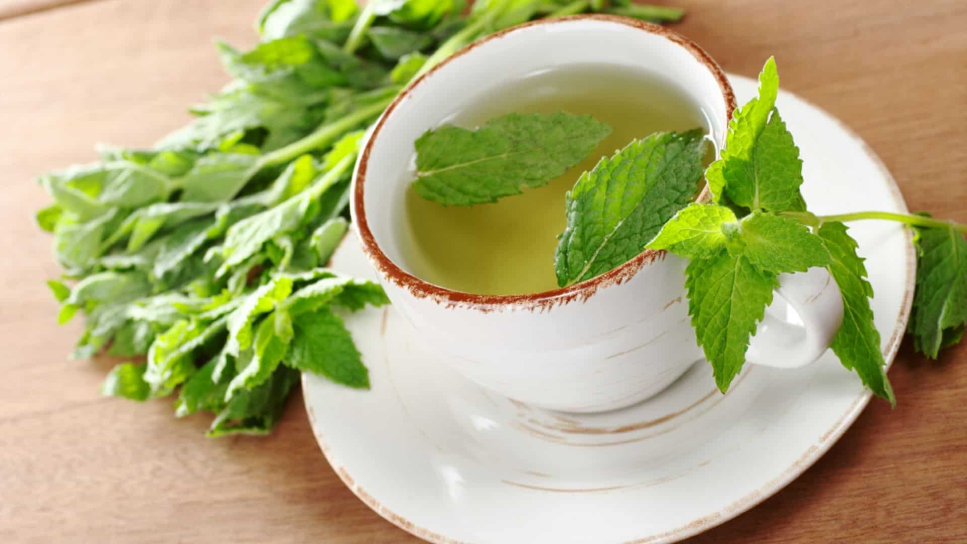 5 Interesting Spearmint Tea Benefits And What You Need To Know 