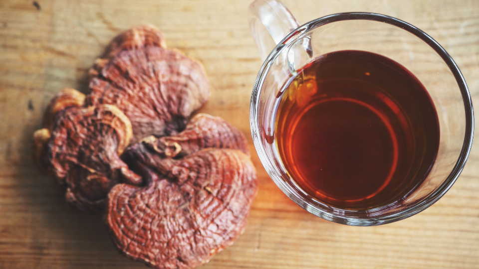 reishi-mushroom-tea
