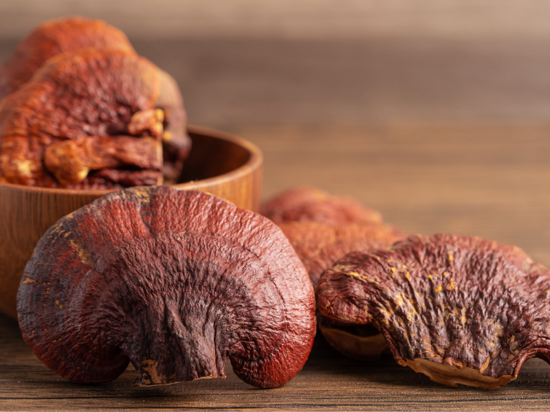 dried reishi mushroom in a wooden bowl